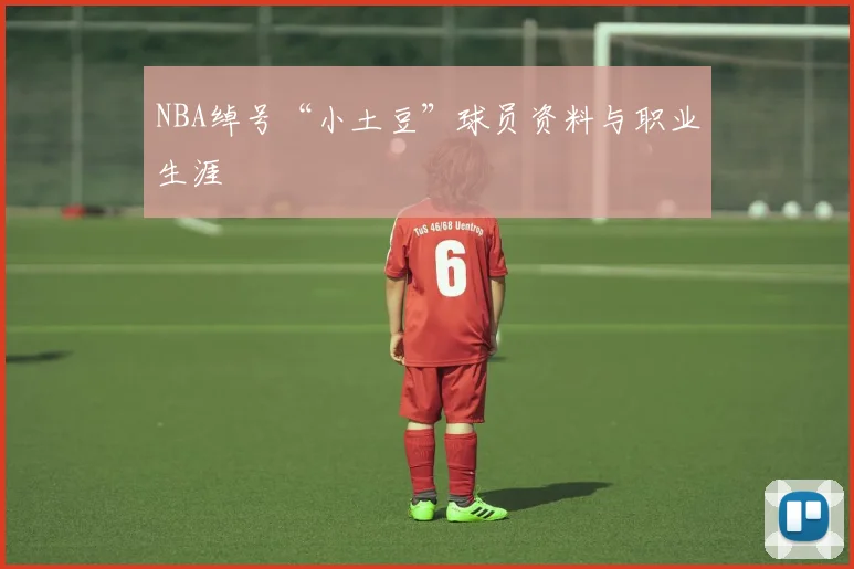 NBA绰号“小土豆”球员资料与职业生涯