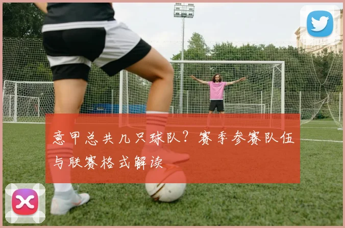 意甲总共几只球队？赛季参赛队伍与联赛格式解读