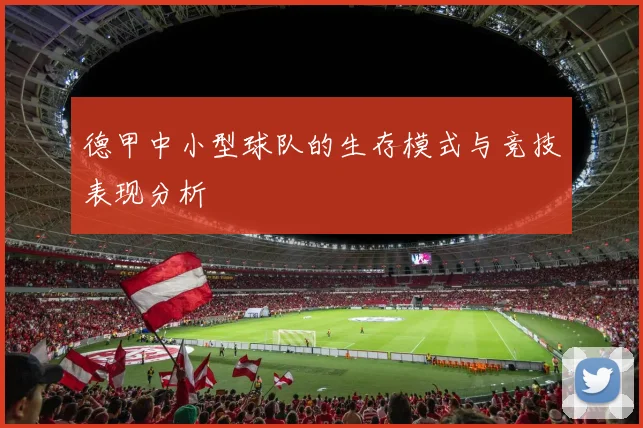 德甲中小型球队的生存模式与竞技表现分析