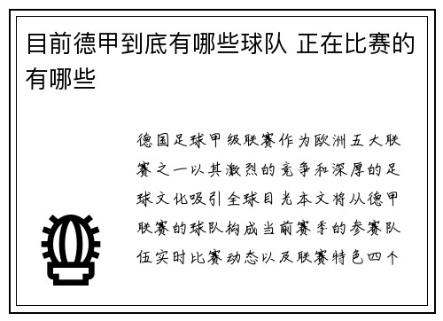 目前德甲到底有哪些球队 正在比赛的有哪些