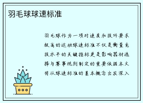 羽毛球球速标准