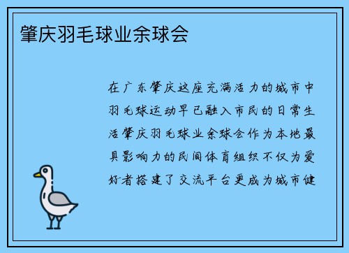 肇庆羽毛球业余球会