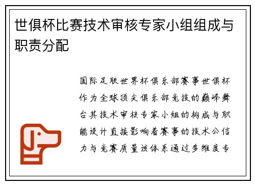 世俱杯比赛技术审核专家小组组成与职责分配